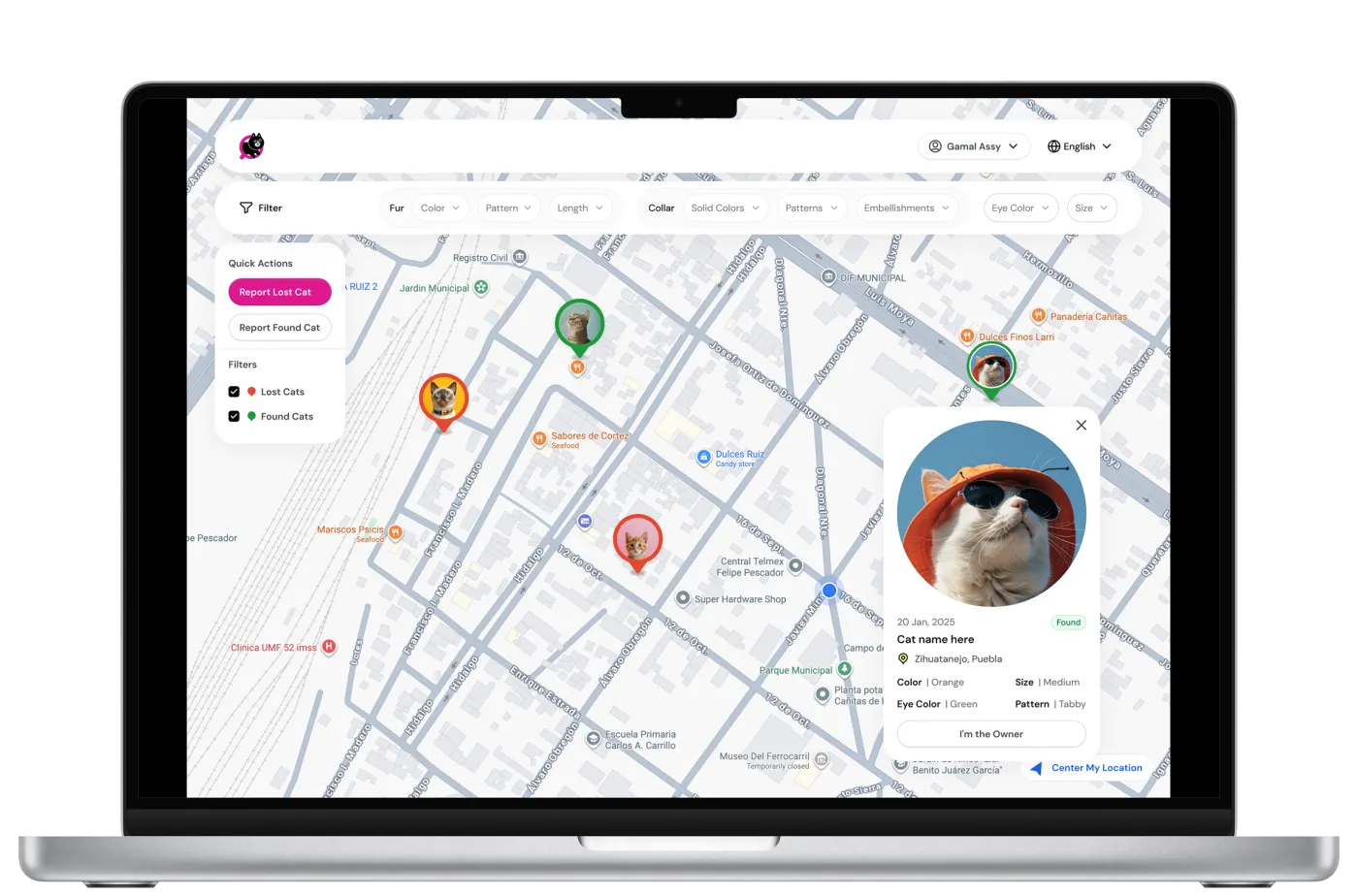 Find My Mixi web screens