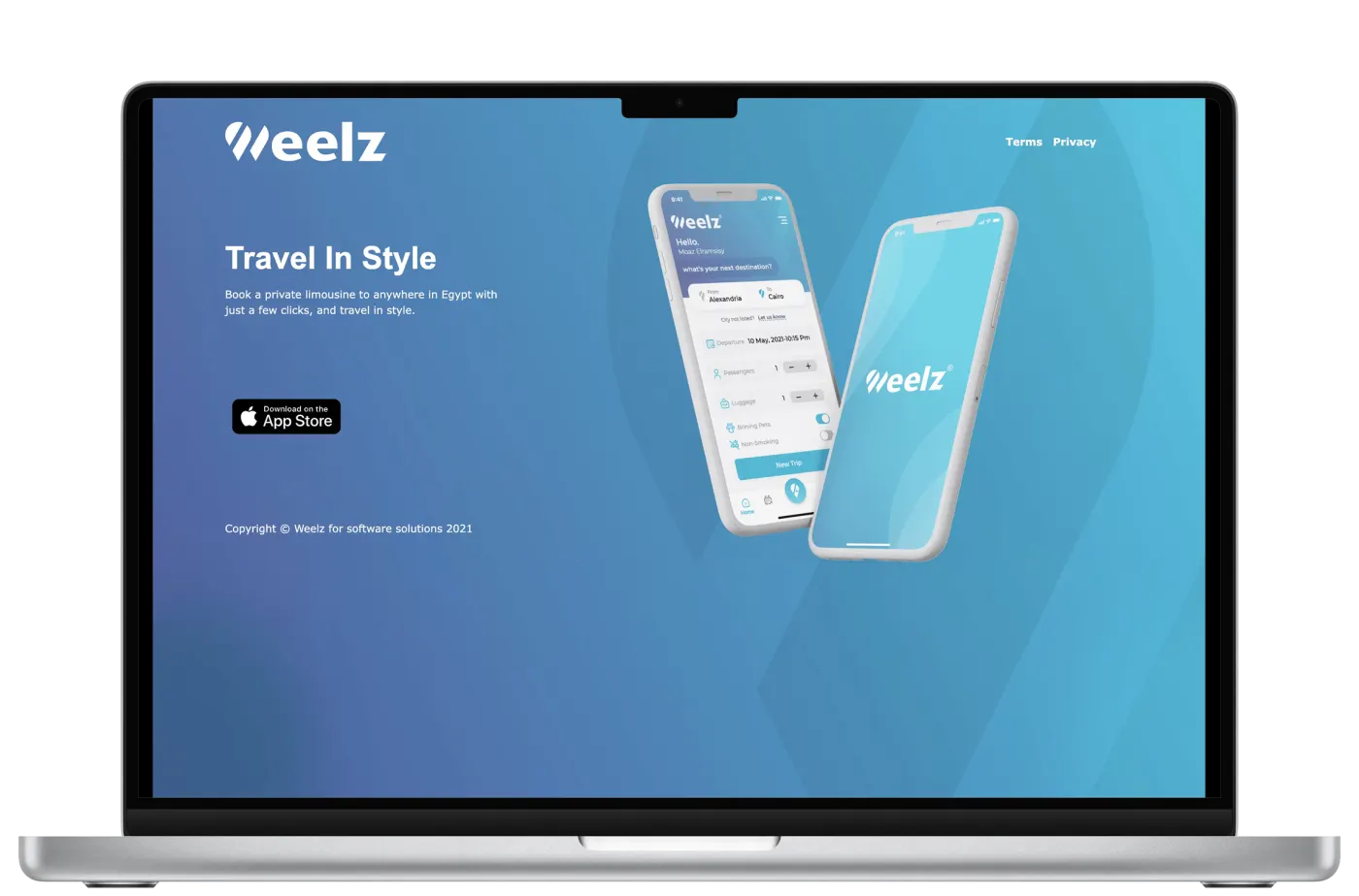 Weelz web screens